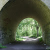 dsc03086.jpg