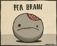pea-brain