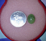 SD 06.jpg