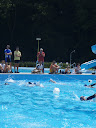 P7050990.JPG