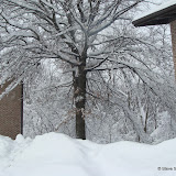 Blizzard TwentyTen - DSC08575.JPG