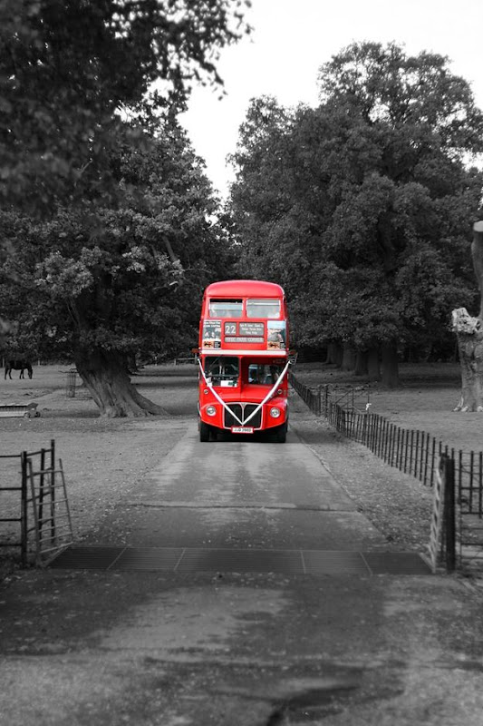 Wedding bus Wedding bus