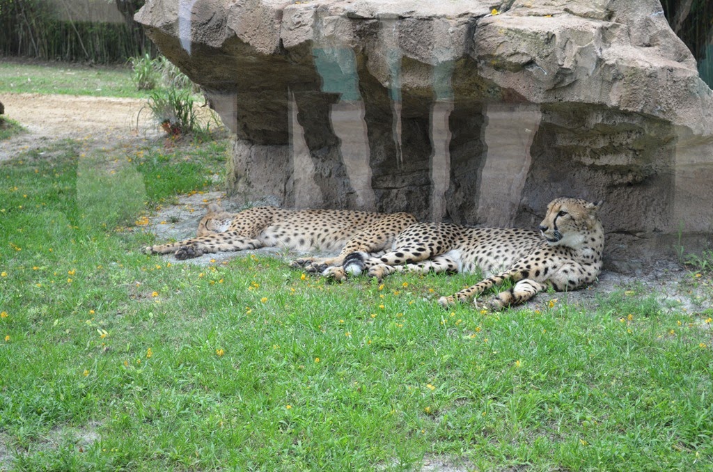 [DSC_8849%255B3%255D.jpg]