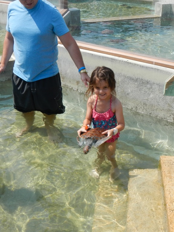 [DSCN0132-42%255B3%255D.jpg]