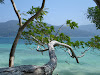  Koh Lipe Resimleri Fotoğrafları