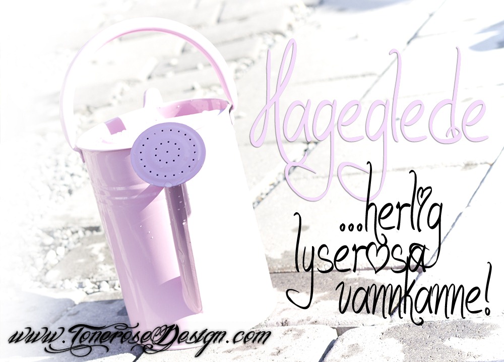 [lyserosa%2520vannkanne%2520IMG_6587%255B5%255D.jpg]