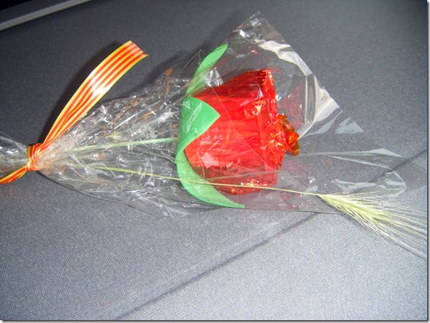 rosa sant jordi (2) rosa sant jordi (2)