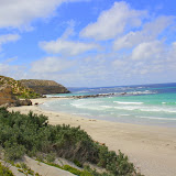 Seal Bay on Kangaroo Island - Adelaide, Australia