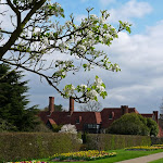 P1050763e.jpg