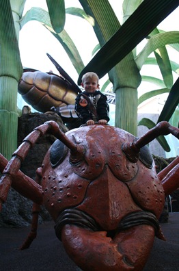 IMG_4950 IMG_4950