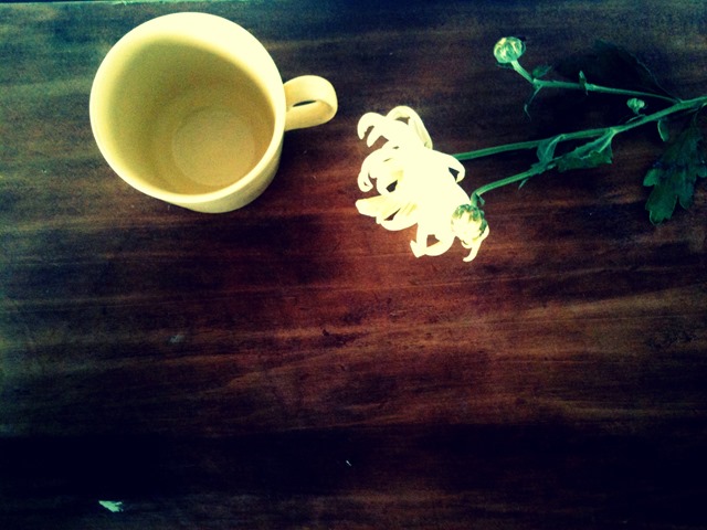 [second%2520hand%2520styling%2520yellow%2520cup%2520and%2520flower%255B4%255D.jpg]