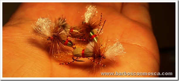 www.barbosconmosca.com