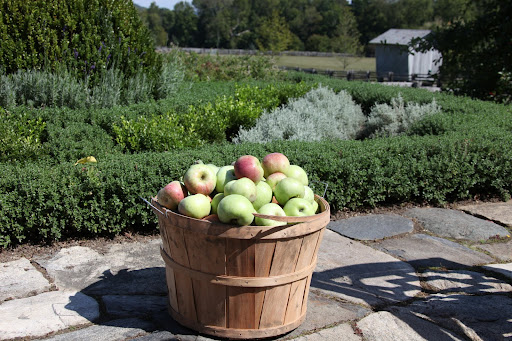 Did you know that one bushel of apples weighs about 42-pounds?  And just in case you're wondering, a 'peck' of apples weighs 10.5-pounds.