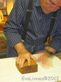 IMG_7972 IMG_7972