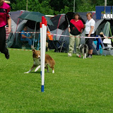 IMGP6936.JPG