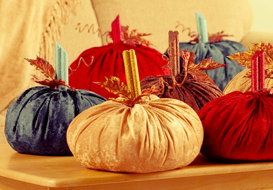 [velvet-pumpkins5.jpg]