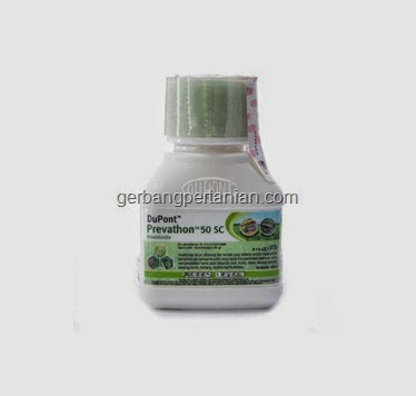 insektisida-produk-dupont-prevathon-50-sc