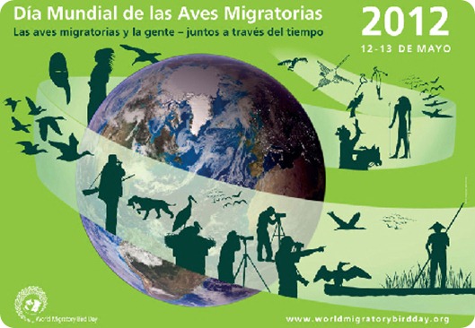aves migratorias día aves migratorias día