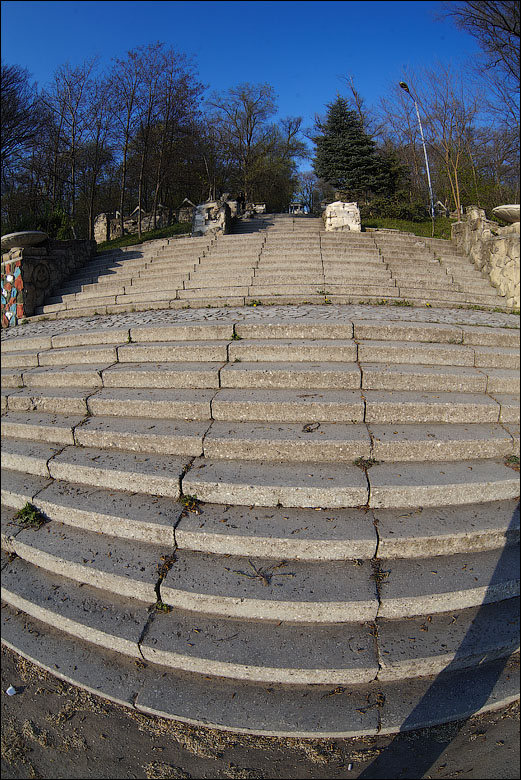 IMG_2951.jpg