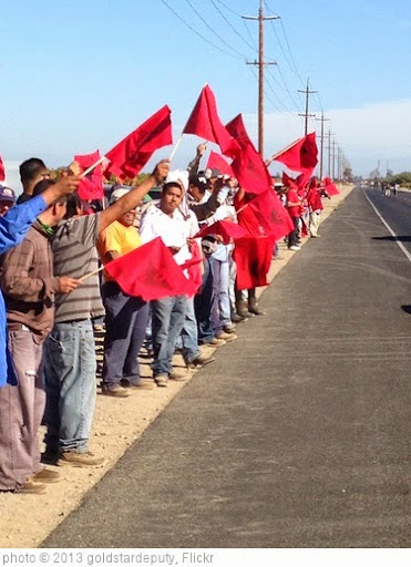 'UFW at gerawan farming picketing against union labor.' photo (c) 2013, goldstardeputy - license: https://creativecommons.org/licenses/by/2.0/