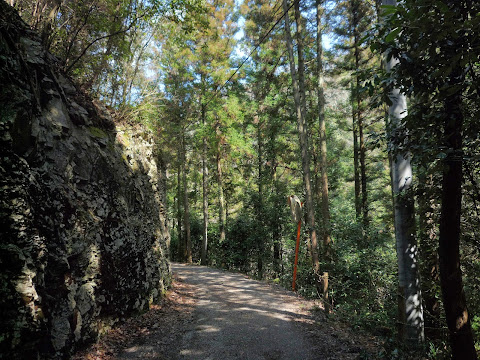 五条川沿いに歩く