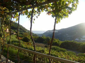 Italy property sale in Liguria, Vallebona