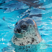 hokkaido_407.jpg