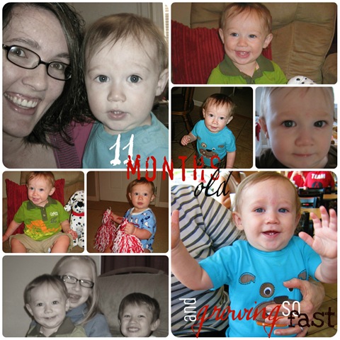[11monthscollage%255B4%255D.jpg]