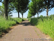 20120527 021