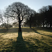 David W Burns - Early Morning Mist.JPG