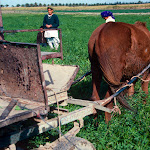 Morocco2012.jpg