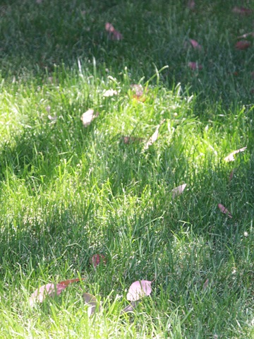 [2013-05-14_038%255B4%255D.jpg]