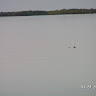 april_permit_10.jpg april_permit_10.jpg