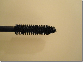 PA170016 PA170016