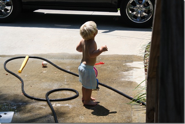 IMG_2765 IMG_2765