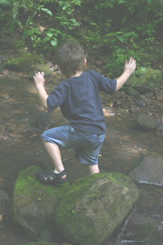 [IMG_71168.jpg]