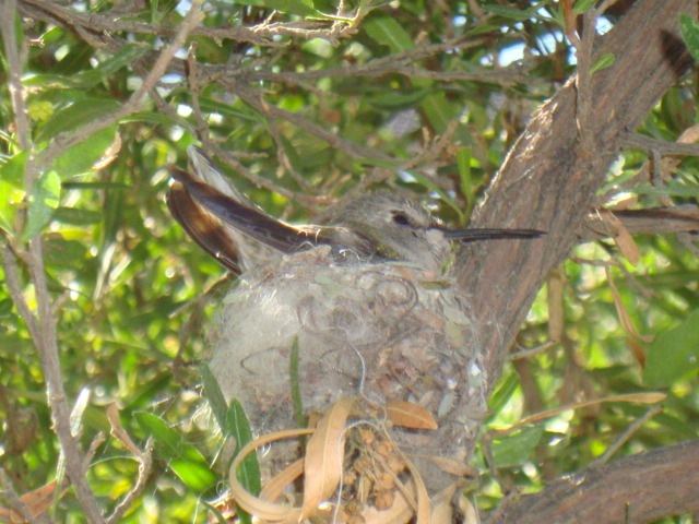 [passport%2520120%255B4%255D.jpg]
