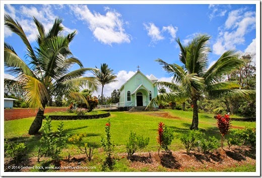 Hawaii: Star of the Sea Painted Church, Kalapana