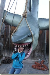 IMG_9384 IMG_9384