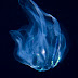 P9226296