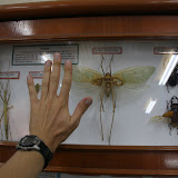 They have some big bugs in these parts!