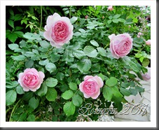 IMG_0401 IMG_0401