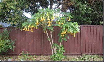 img_0842 img_0842