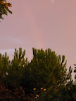 It rained the night before the wedding, causing the couple to clear everything they'd set up in advance, but at least a rainbow followed.