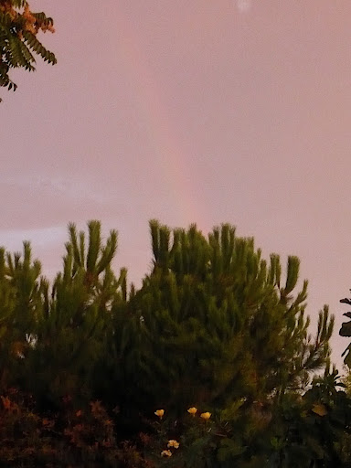 It rained the night before the wedding, causing the couple to clear everything they'd set up in advance, but at least a rainbow followed.