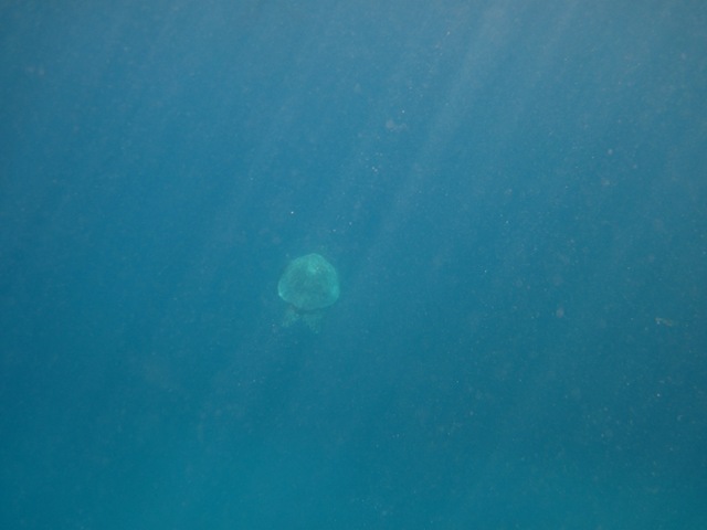 [IMG_3504%255B3%255D.jpg]