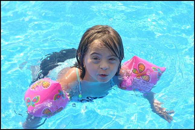 DSC_0816 DSC_0816