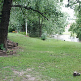 Neighbor's yard on Monday.