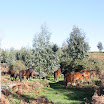 IMG_7726.JPG