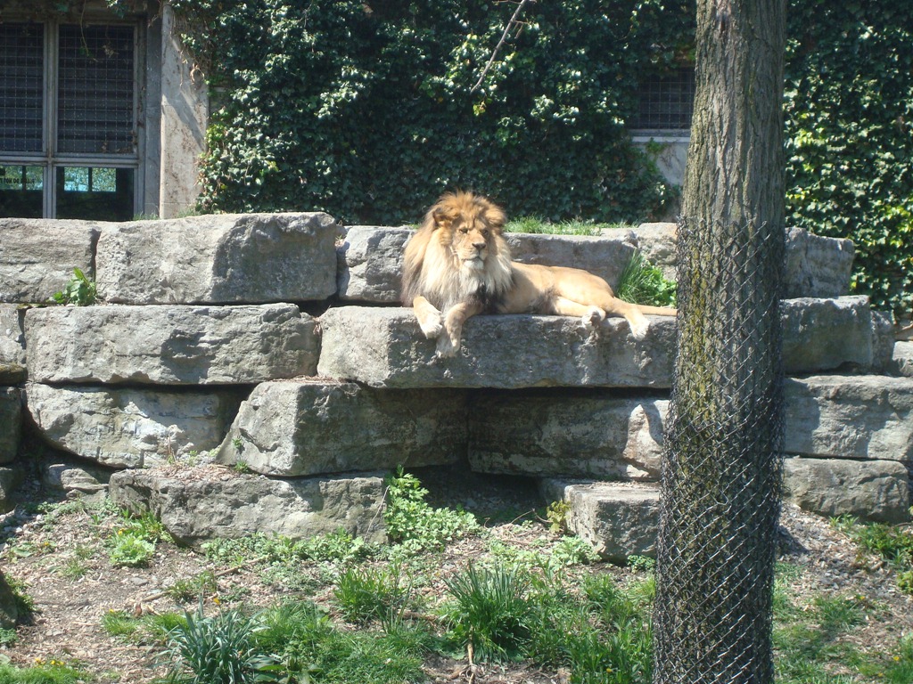 [DSC02230%255B3%255D.jpg]